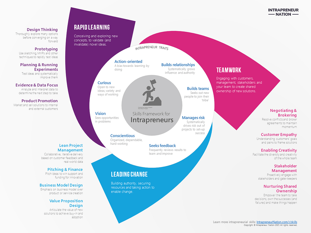 Intrapreneur Skills Framework Infographic